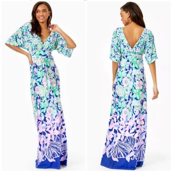 Lilly Pulitzer Dresses & Skirts - 🪷🅿️ Lilly Pulitzer Maxi Dress